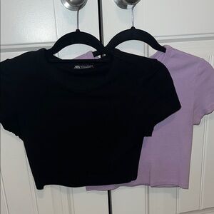 Zara Black and Lavender Short Sleeve Crop Tees